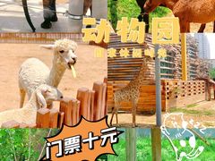 -太原动物园