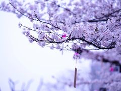 -堤角公园