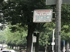 -武汉大学-樱园