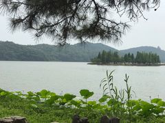 -东湖落雁景区
