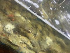 -海玥荟海鲜姿造自助餐厅(欧罗巴广场店)