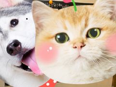 -作幺探案馆·剧本杀实景搜证