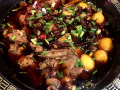 -一只烧鸡公(解放碑店)