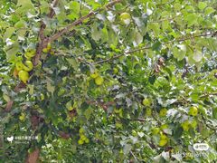 -张掖大佛寺景区