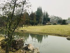 -夏河溪乡野公园