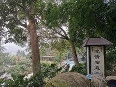 -三江森林温泉度假区