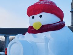 -长春公园(普阳街道)