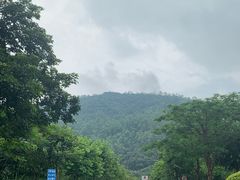 -火炉山森林公园