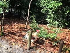 -热田神宫