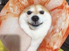 -必胜客(浦上万达店)