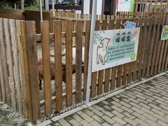 -太阳岛旅游度假区