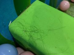 -水晶之星洗浴温泉汗蒸