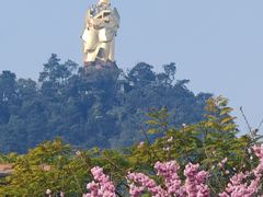 -南山植物园