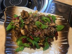 双椒牛肝菌-蘑统田下·野生菌火锅