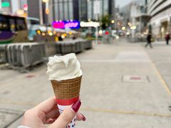 -富豪雪糕车流动点(尖沙咀)