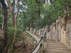 -梧桐山风景名胜区