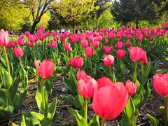 -长春公园(普阳街道)