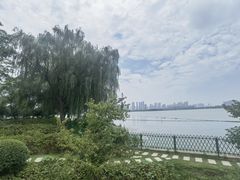 -金银湖国家城市湿地公园