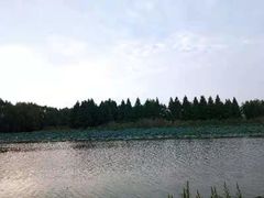 -苏州太湖国家湿地公园