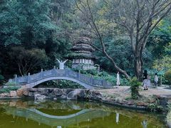 -深圳国际园林花卉博览园