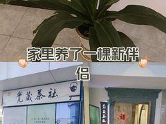 -觉藏茶社(博地影秀城店)