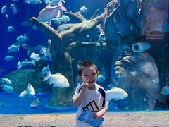 -海合安成都极地海洋公园
