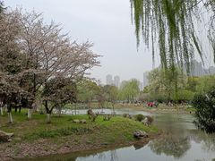 -堤角公园