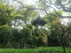 -绮园景区
