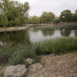 -酷酷兔少儿拓展天地