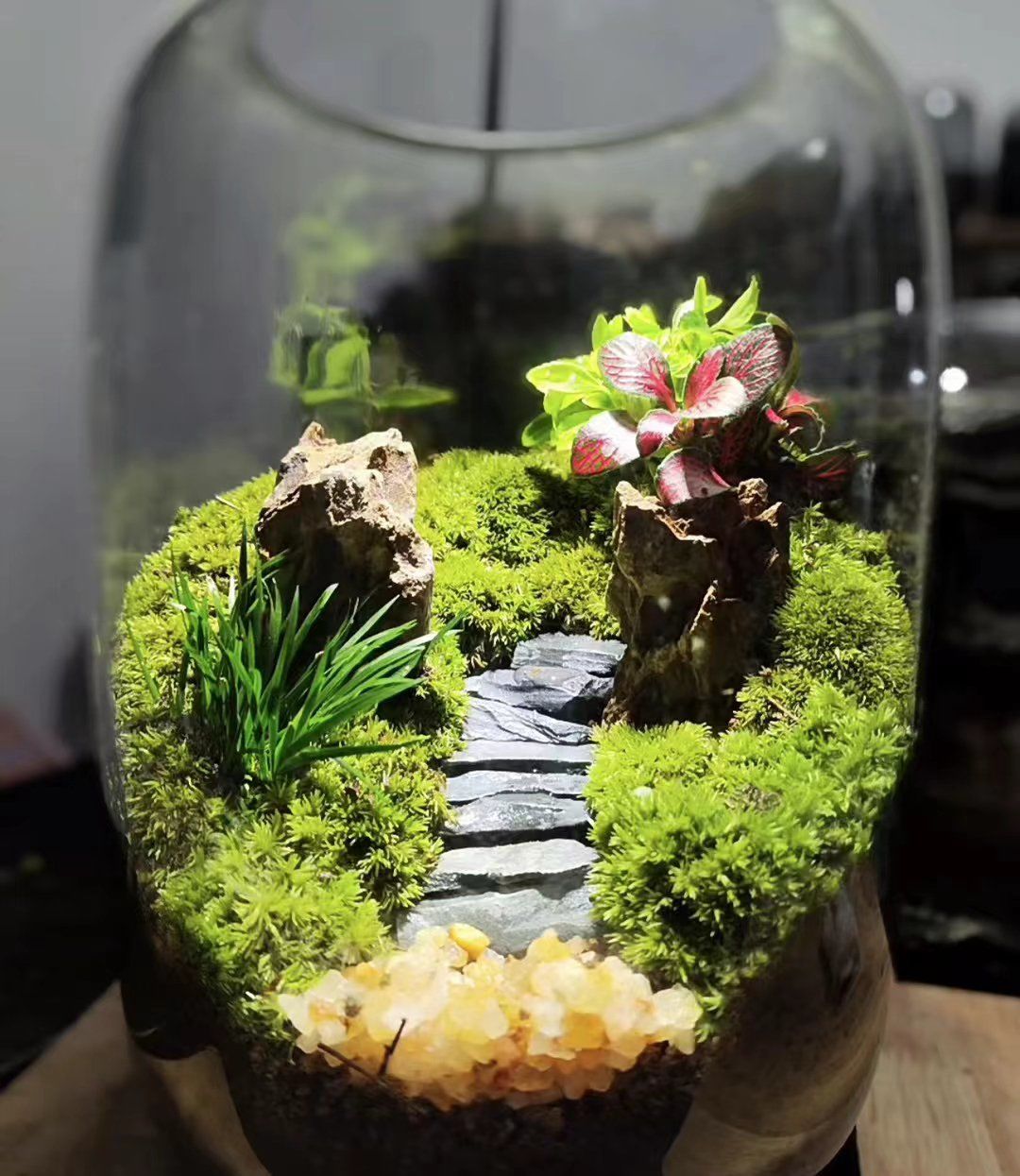 创意盆栽小世界