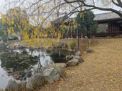 -金银湖国家城市湿地公园