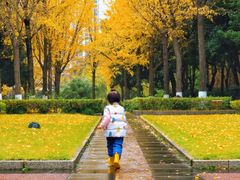 -苏州河梦清园环保主题公园