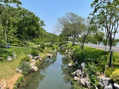 -羊山湖公园
