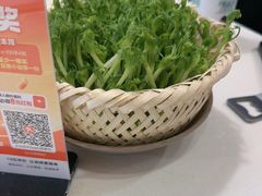 -岗上渣渣老火锅(两路口店)