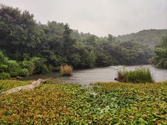 -天目湖山水园