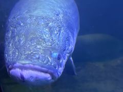 -青岛海底世界-水族馆