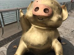 -星光大道