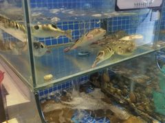 -佳兰雅序融合菜(高新店)