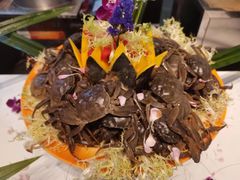 -南美元生态大酒店(海珠店)
