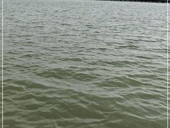 -金沙湖旅游度假区