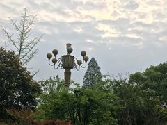 -东航云逸酒店(九溪烟树店)
