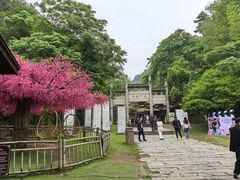 -常德桃花源景区
