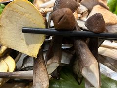 -阿山卓·野生菌火锅·纳西火塘烤肉