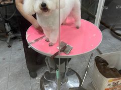 -宠福鑫康馨动物医院·骨科·眼科