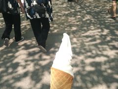 -蜜雪冰城·冰淇淋与茶(长郡中学店)