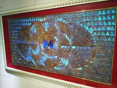 -上海昆虫博物馆