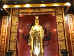 -富乐山