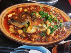 双椒鲫鱼-老来福·非遗酸汤兔(凯旋路店)