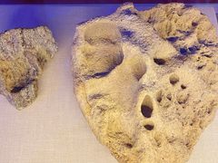 -贝林大翅鲸简餐厅(国家海洋博物馆店)