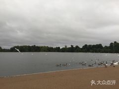 -海德公园